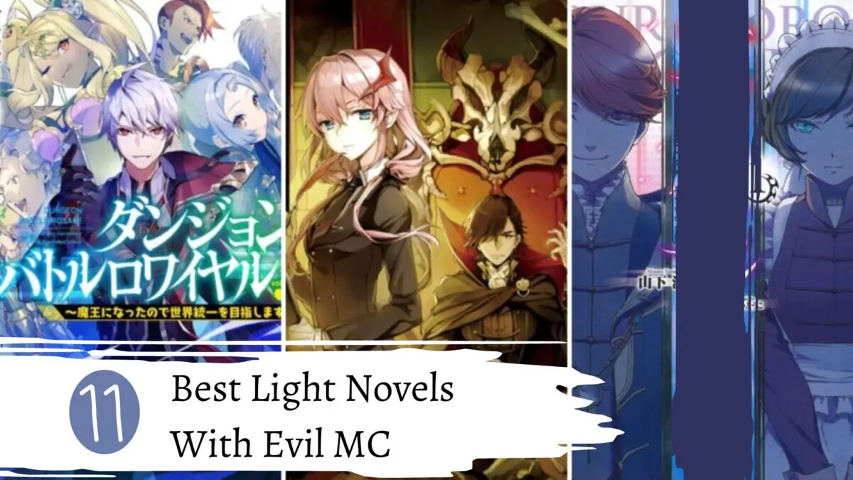 11 Best Light Novels With Evil MC